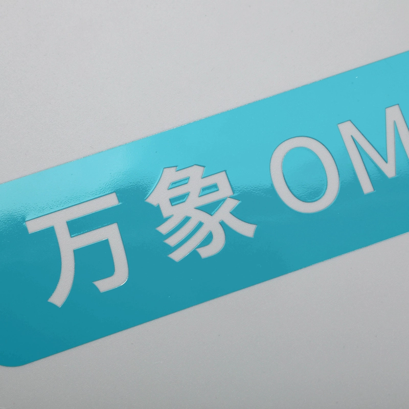 Home Appliance Electroplating Label with paint spraying color